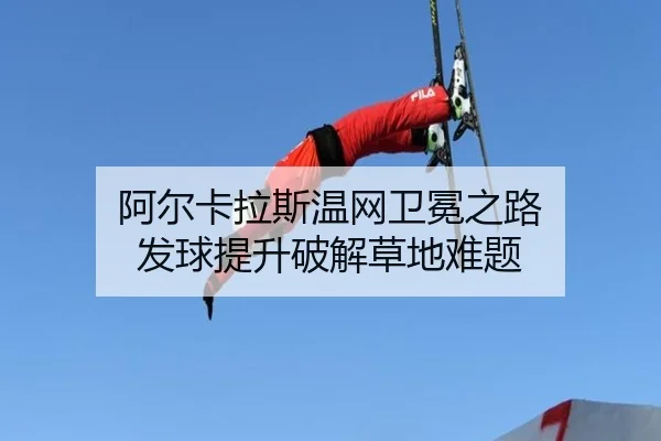 a-er-ka-la-si-wen-wang-wei-mian-zhi-lu-fa-qiu-ti-sheng-po-jie-cao-di-nan-ti-2-240.jpg