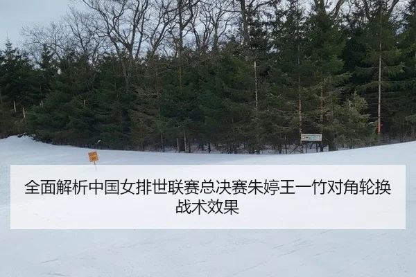 quan-mian-jie-xi-zhong-guo-nv-pai-shi-lian-sai-zong-jue-sai-zhu-ting-wang-yi-zhu-dui-jiao-lun-huan-zhan-shu-xiao-guo-2-700.jpg